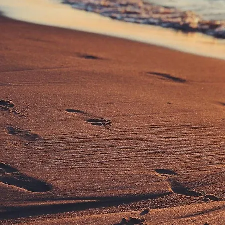 Baltin & Mielno (Koszalin)