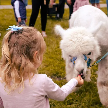Hotel Baltin & Mielno (Koszalin)