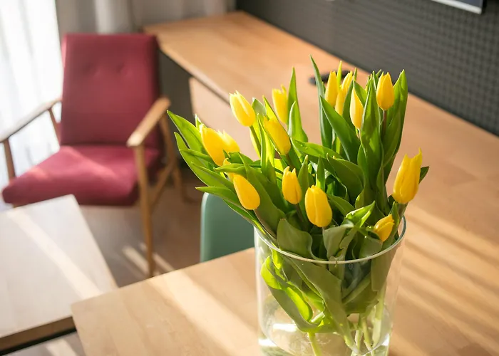 Baltin & 4* 梅尔诺